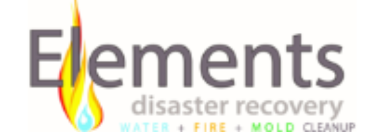 Element Disaster Recovery